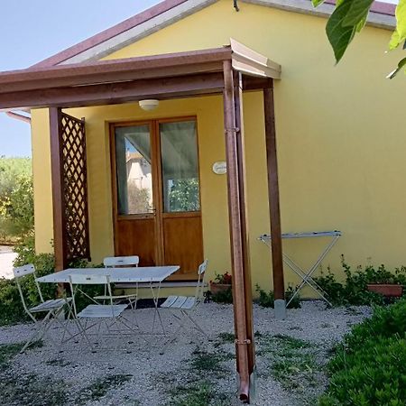 Agriturismo I Ciliegi Appartamento Ginestra Montignano Exteriér fotografie