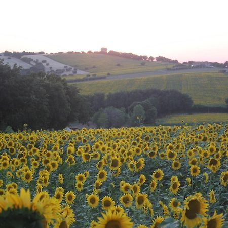 Agriturismo I Ciliegi Appartamento Ginestra Montignano Exteriér fotografie