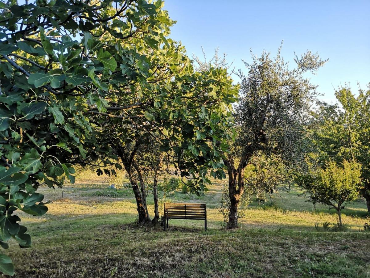 Agriturismo I Ciliegi Appartamento Ginestra Montignano Exteriér fotografie