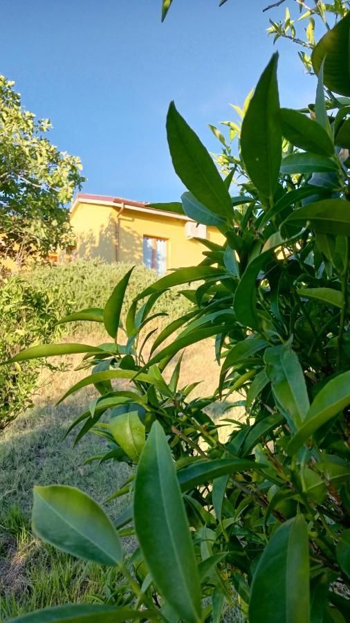Agriturismo I Ciliegi Appartamento Ginestra Montignano Exteriér fotografie